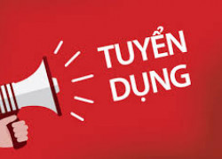 TUYỂN DỤNG KẾ TOÁN TỔNG HỢP