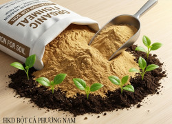 🌱 Bột Cá – Giải Pháp Nâng Tầm Phân Bón Hữu Cơ