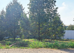 Lô Đất Vị Trí Chiến Lược, Gần Ngay DT770B, P Hàng Gòn, ĐN