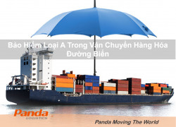 Bảo Hiểm Loại A Trong Vận Chuyển Hàng Hóa Đường Biển