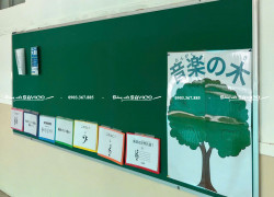 BẢNG GHIM TREO TƯỜNG VẢI NỈ BAVICO