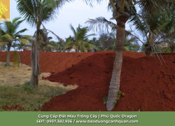 Đất Màu Chất Lượng Tại TP.HCM & Đồng Nai