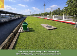 Cắt cỏ phát hoang giá rẻ KCN AMATA, Long Thành, Nhơn Trạch, Biên Hoà Đồng Nai, TP.HCM