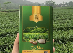 --  MỘC NHIÊN TRÀ - TINH HOA TRÀ VIỆT  --