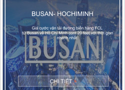 Giá cước vận tải biển hàng FCL từ Busan về Hồ Chí Minh