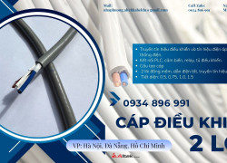 Cáp Điều Khiển Chống Nhiễu 2 Lõi Tại Hà Nội, Đà Nẵng, TP.HCM – Giá Kho Toàn Quốc