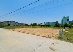 SIÊU PHẨM TRỤC CHÍNH ĐÔNG PHÚ SÁT HÒA KHƯƠNG