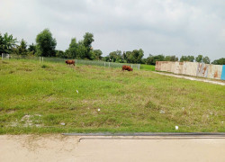 🌱 ĐẤT ĐẸP FULL THỔ CƯ – GIÁ TỐT TẠI LONG CANG, CẦN ĐƯỚC 🌱  📐 Diện tích: 110.5m² (4 x 27.9m)