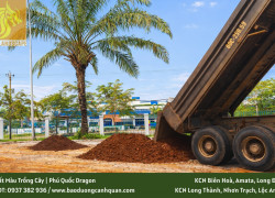 Đất Màu Giá Sỉ Tận Gốc Tại Đồng Nai và TP.HCM