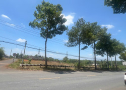 Bán Đất Lô Góc Kinh Doanh Đường Lê Hồng Phong, Thị Trấn Ngãi Giao, Châu Đức