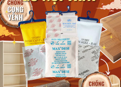 Vì sao nên dùng gói hút ẩm cho gỗ nội thất khi xuất khẩu?