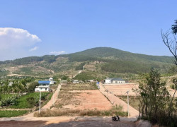 ĐẤT 2 MẶT TIỀN – THUNG LŨNG THÔNG XANH, KHÔNG GIAN SỐNG CHẠM CẢM XÚC