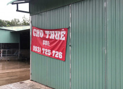 Cho Thuê Mặt Bằng Kinh Doanh Mặt Tiền ĐT786 – Ngay Ngã 3 Ấp Long Hòa, Long Chữ, Tây Ninh