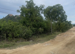 Bán 6,5ha Đất Vườn - xã Phước Hải, Ninh Phước, Ninh Thuận Gần Hồ Bầu Ngứ, Đường Ôtô giá 2,9 tỷ