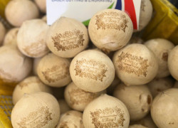 Dưa, dừa khắc laser - độc đáo, ý nghĩa