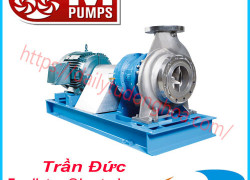 Bơm ly tâm M Pumps | M Pumps centrifugal
