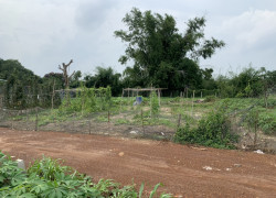 [CHÍNHCHỦ] Cần bán đất xã Láng Dài,Đất Đỏ,Bà Rịa-Vũng Tàu;1,3triệu/m2(1000m2)