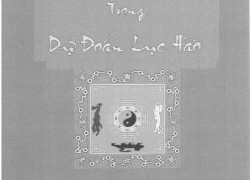 Thế Giới Nhân Quả Trong Dự Đoán Lục Hào