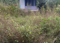 Chính chủ cần bán gấp 542m2 gần trung tâm Định Hiệp