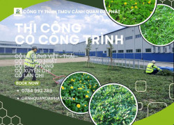 TRỒNG CỎ CÔNG TRÌNH KCN BÌNH DƯƠNG – THI CÔNG NHANH, GIÁ TỐT