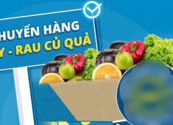 Tuyển Nhân Viên Giao Hàng Rau Củ Từ 1h30 Sáng