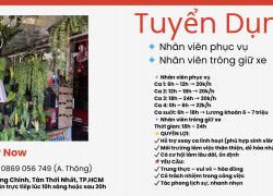 TUYỂN NV PHỤC VỤ, TRÔNG XE (VÒNG XOAY AN SƯƠNG)