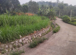 ĐẤT ĐẸP GIÁ TỐT THÔN PHÚ LỘI, MINH QUANG, BA VÌ, HÀ NỘI - CƠ HỘI CHO NĐT