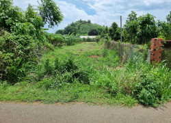 CẦN BÁN 1000m² ĐẤT MẶT TIỀN ĐƯỜNG NHỰA – LONG PHƯỚC, TP. BÀ RỊA (P. TAM LONG, TP. HCM)