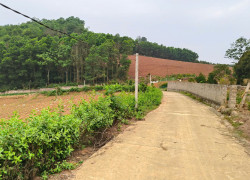 Đất nghỉ dưỡng tại thôn Ninh, Khánh Thượng, Ba Vì, Hà Nội. Nay thuộc xã Ba Vì mới