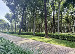 ĐÊM MẤT NGỦ CÙNG SIÊU PHẨM HÀNG XÓM CV GIA ĐỊNH - 65M2 X 4 TẦNG - vị trí nuột nà 9 tỷ xíu