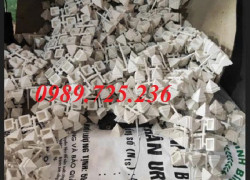 Nên mua mũ hàng rào ở đâu giá rẻ ?