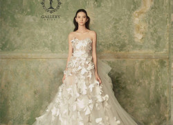 cho thuê áo cưới