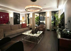 BIỆT THỰ CAO CẤP ĐƯỜNG HOA LAN PHÚ NHUẬN CHỈ 50 TỶ-PHAN XÍCH LONG