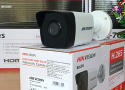 Camera IP HIK DS-2CD1021-I, Mẫu Cam Được Ưa Chuộng