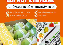 Gói Hút Ethylene Giữ Tươi Lâu Trái Cây – Xoài, Thanh Long, Chuối, Dâu Tây