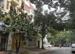 🔅 LIỀN KỀ VIP KĐT VĂN QUÁN, BẠCH THÁI BƯỞI 80M2 5T MT 4.5M, CHỈ 24.5 TỶ 🔅