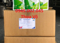 SUPER BIO – Men vi sinh xử lý nước, hỗ trợ đường ruột, tăng đề kháng, gây màu nước hiệu quả