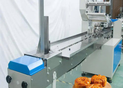 Máy đóng gói bánh trung thu chuyên nghiệp