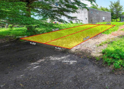 Đất Thổ Cư Long Hòa – Gần Chợ, Trường Học – Không Gian Sống Xanh Trong Lành.