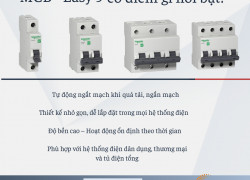 Cầu dao tự đông Easy 9