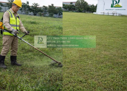 Dịch vụ cắt cỏ cưa cây tại KCN Biên Hòa Đồng Nai