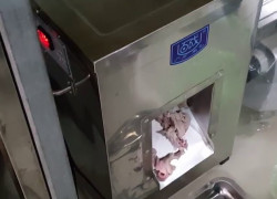 Máy thái thịt DQ1 - lợi ích cao