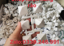 Chông nhựa, mác nhọn, chụp hàng rào cổng cửa