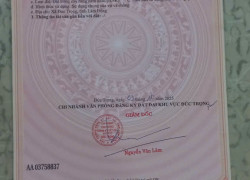 Chính chủ cần nhượng lại 2 lô đất liền kề với tổng diện tích cực lớn, vị trí đắc địa tại trung tâm huyện Đức Trọng