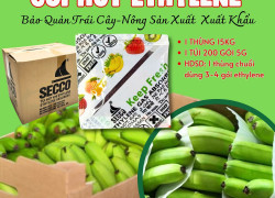 Gói Bảo Quản Trái Cây - Gói hút khí Ethylene Secco 5g