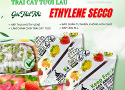 Bán gói hút khí Ethylene Secco 5g giá tốt - Khống chế độ chín nông sản
