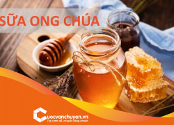 Thủ Tục Xuất Khẩu Sữa Ong Chúa