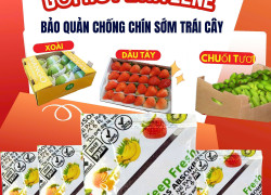 Gói Hút Khí Ethylene – Giải Pháp Bảo Quản Trái Cây Xuất Khẩu Hiệu Quả