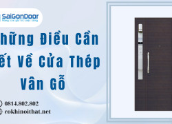 Những Điều Cần Biết Về Cửa Thép Vân Gỗ