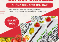 Bí quyết giữ trái cây tươi lâu với Gói hút Ethylene Secco 5g